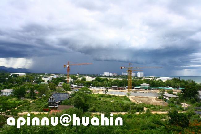 apinnu125.jpg